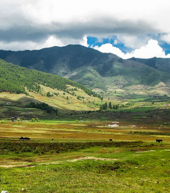 destination-gangtey-phojikha-tour